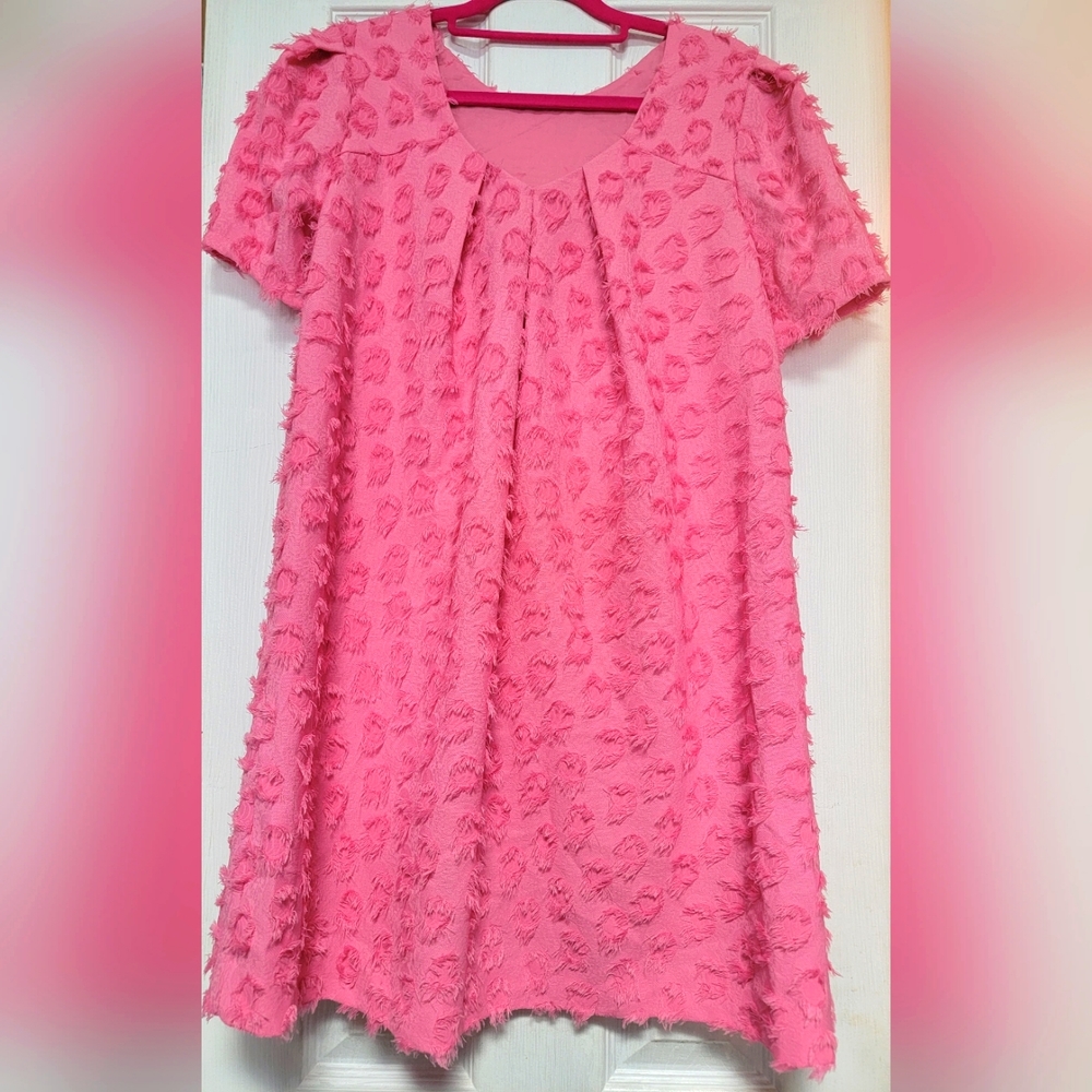 🥰 NWOT ZARA Pink Dress (girls 13/14)